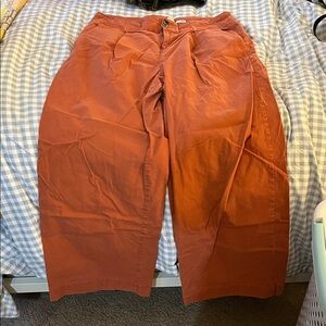 Women’s A New Day Rust Pants